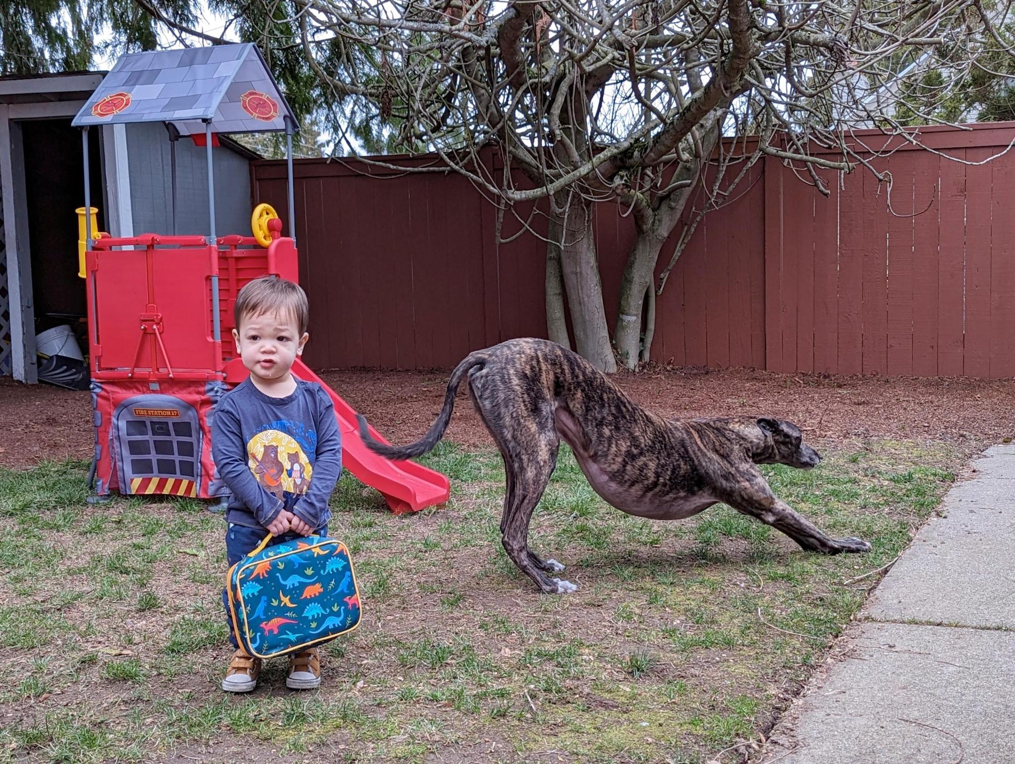 Homer and Will waiting to walk to school