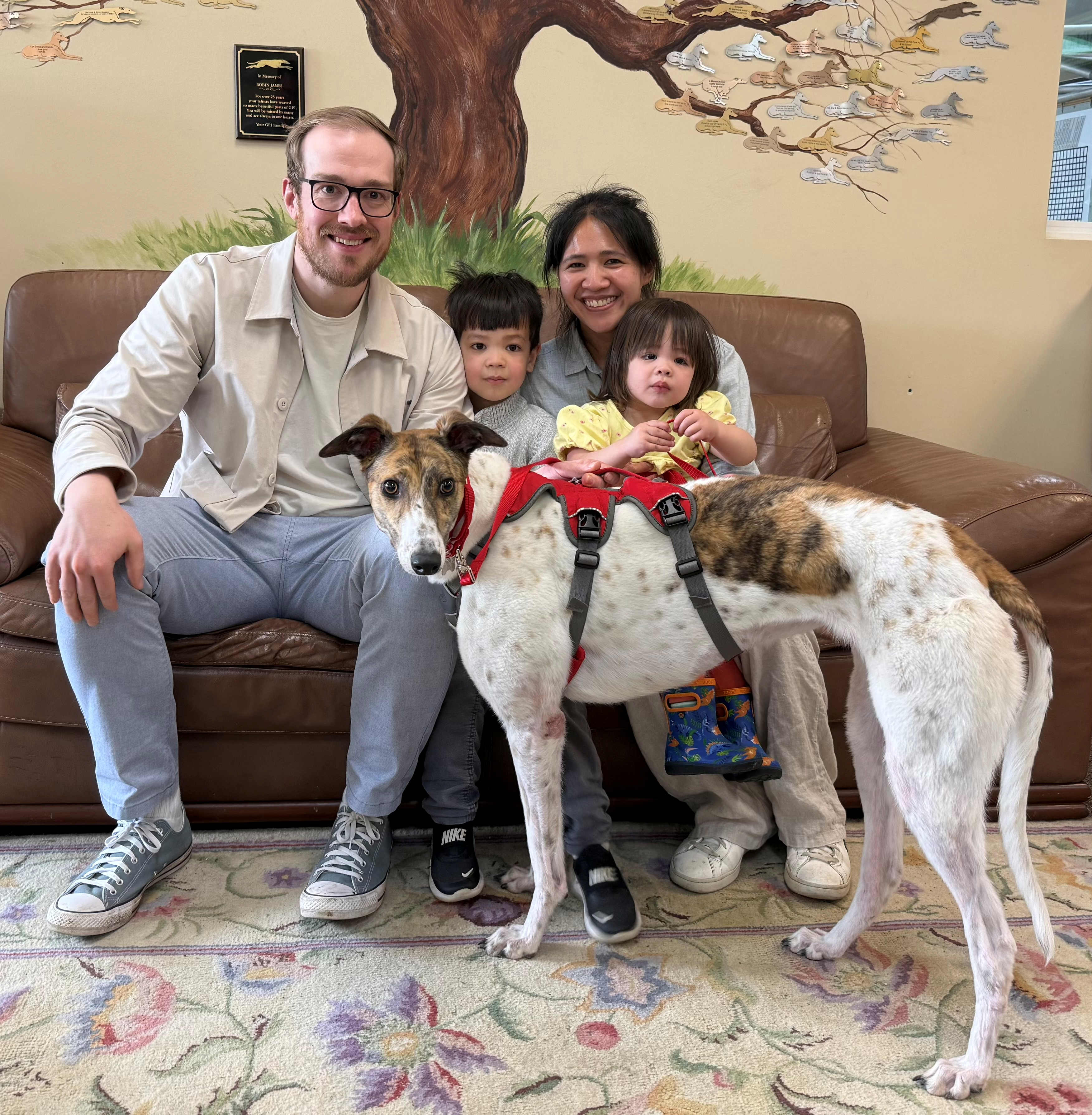 juniper's adoption day
